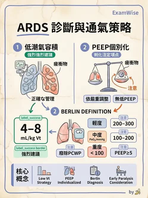 內專 - ARDS 與重症照護 - AI 圖文解析預覽