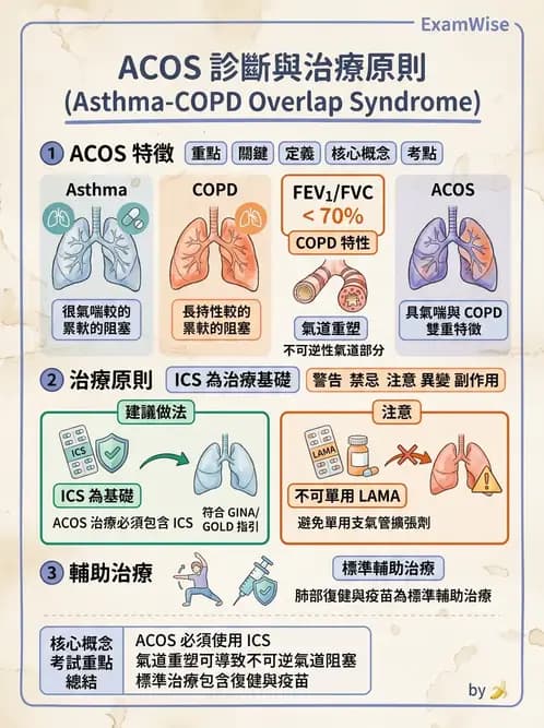 內專 - COPD 穩定期診斷與治療 - AI 圖文解析預覽