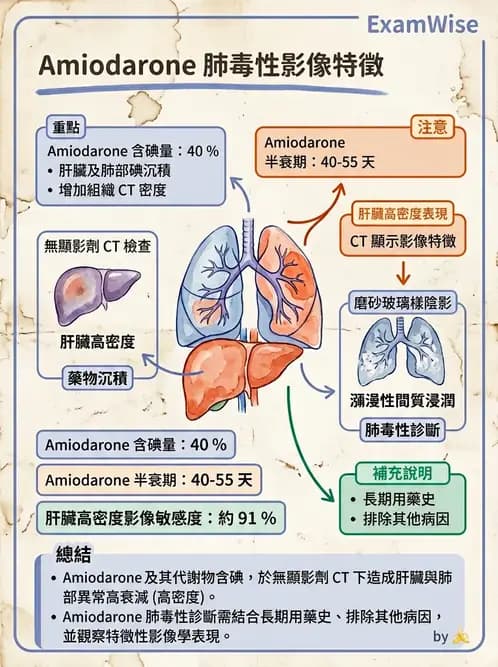 內專 - 間質性肺病與肺纖維化 - AI 圖文解析預覽