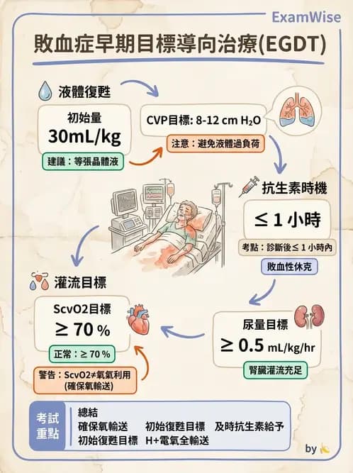 內專 - ARDS 與重症照護 - AI 圖文解析預覽