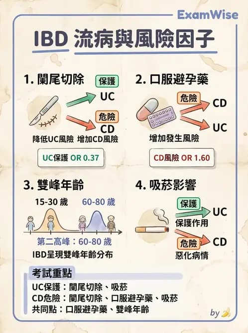 內專 - 發炎性腸道疾病 - AI 圖文解析預覽