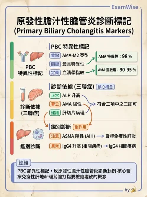 內專 - 膽汁滯留性肝病與黃疸鑑別 - AI 圖文解析預覽