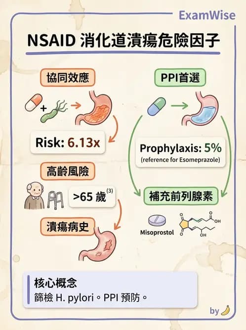 內專 - 胃炎、術後併發症與其他上消化道疾病 - AI 圖文解析預覽