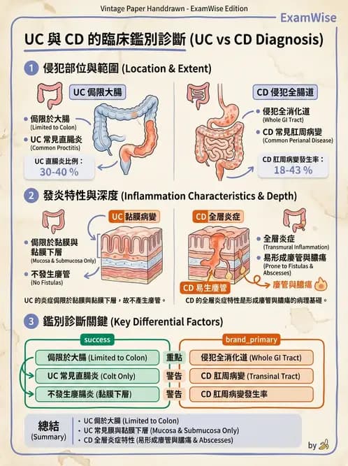 內專 - 發炎性腸道疾病 - AI 圖文解析預覽