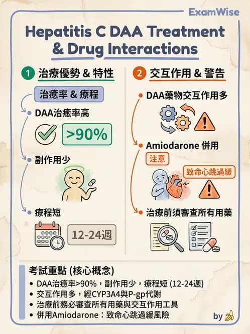 內專 - C型肝炎 - AI 圖文解析預覽