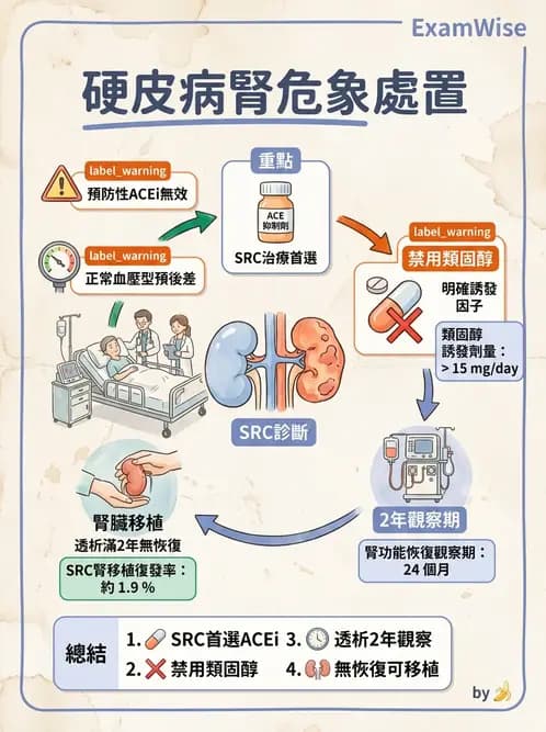 內專 - 系統性硬化症 - AI 圖文解析預覽