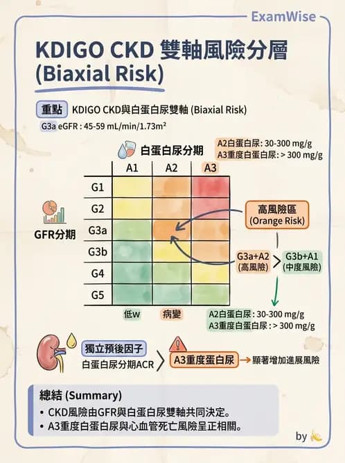 內專 - 慢性腎臟病管理 - AI 圖文解析預覽