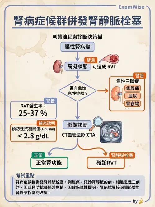 內專 - 腎血管疾病與妊娠腎病 - AI 圖文解析預覽