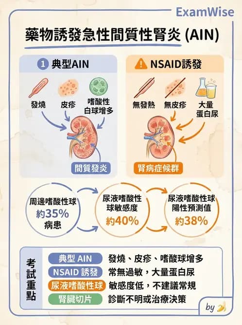 內專 - 腎間質疾病與其他 - AI 圖文解析預覽