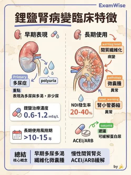內專 - 腎間質疾病與其他 - AI 圖文解析預覽