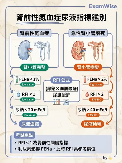 內專 - 急性腎損傷 - AI 圖文解析預覽