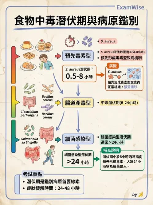 內專 - 革蘭氏陽性菌感染 - AI 圖文解析預覽