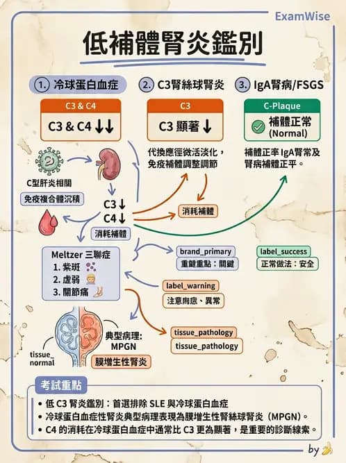 內專 - 繼發性腎絲球腎炎 - AI 圖文解析預覽