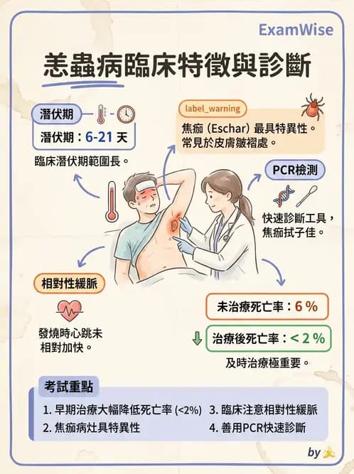 內專 - 蟲媒感染、性傳播感染與寄生蟲 - AI 圖文解析預覽