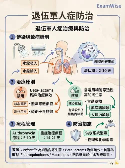 內專 - 革蘭氏陰性菌感染 - AI 圖文解析預覽