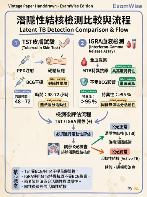 內專 - 肺結核 - AI 圖文解析預覽