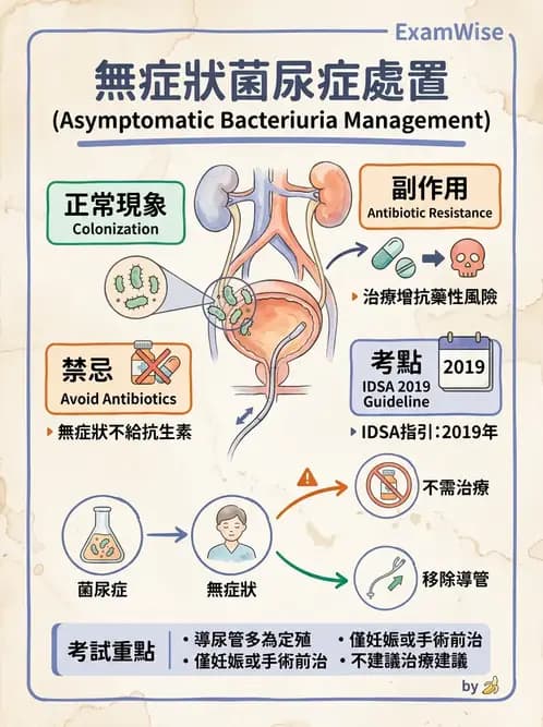 內專 - 抗藥性菌與感染管控 - AI 圖文解析預覽