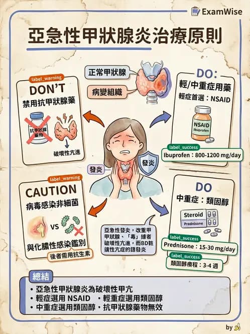內專 - 甲狀腺疾病 - AI 圖文解析預覽