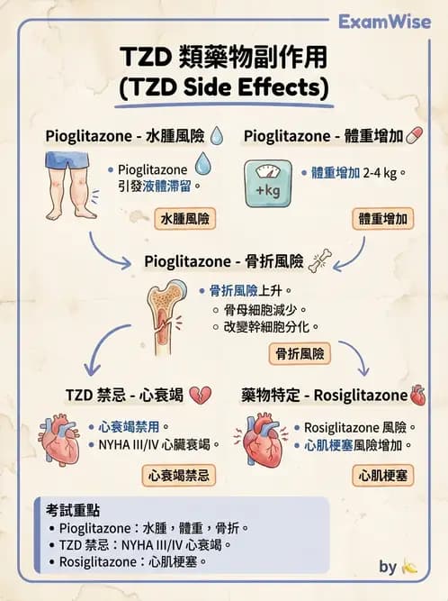 內專 - SGLT2i與TZD藥物特論 - AI 圖文解析預覽