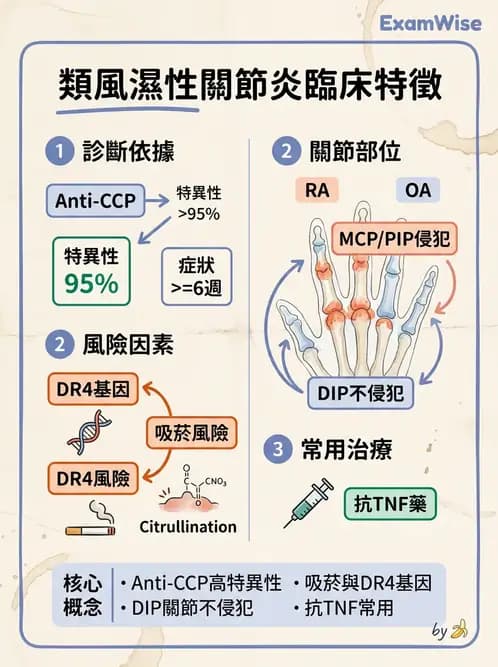 RA - 類風濕性關節炎 - AI 圖文解析預覽