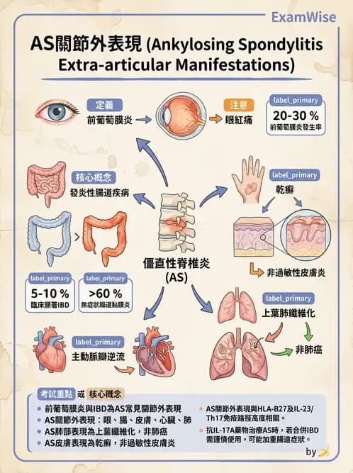 內專 - 脊椎關節病變 - AI 圖文解析預覽