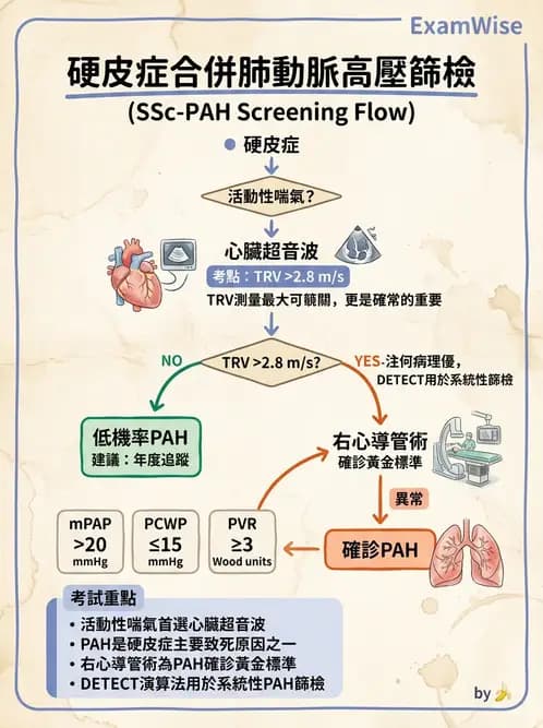 內專 - 系統性硬化症 - AI 圖文解析預覽