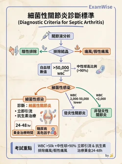 內專 - 革蘭氏陽性菌感染 - AI 圖文解析預覽