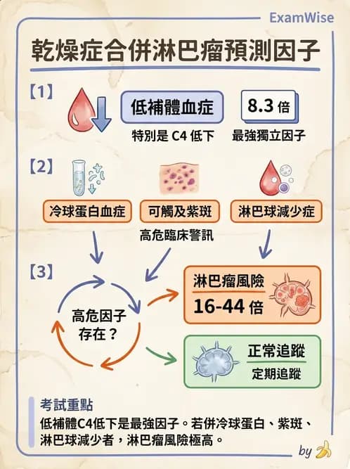 內專 - 乾燥症與IgG4相關疾病 - AI 圖文解析預覽