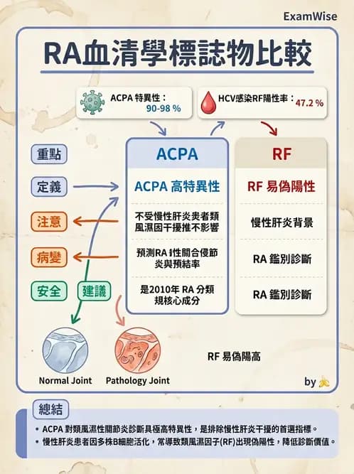 RA - 類風濕性關節炎 - AI 圖文解析預覽