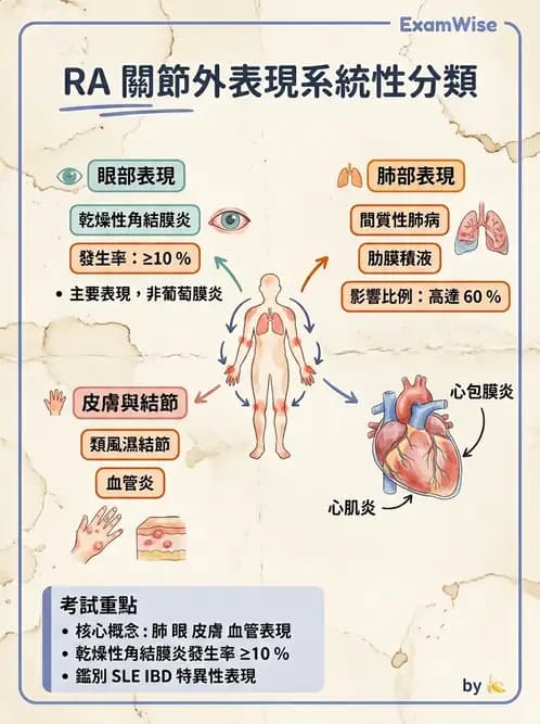 RA - 類風濕性關節炎 - AI 圖文解析預覽
