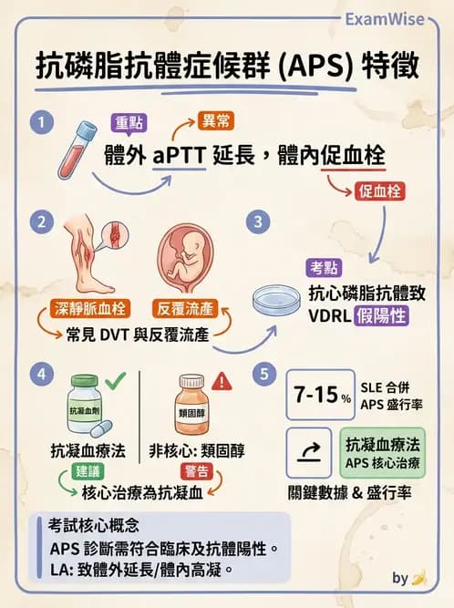 SLE - 全身性紅斑狼瘡 - AI 圖文解析預覽