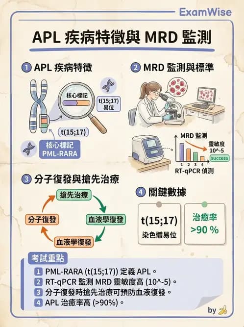 內專 - 白血病與骨髓增生不良 - AI 圖文解析預覽