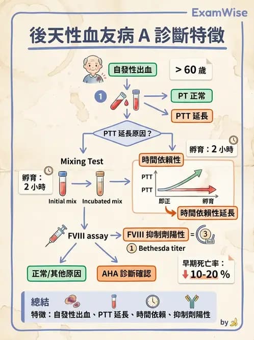 內專 - 凝血與輸血 - AI 圖文解析預覽