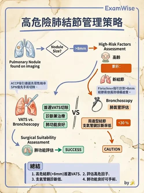 內專 - 肺癌 - AI 圖文解析預覽