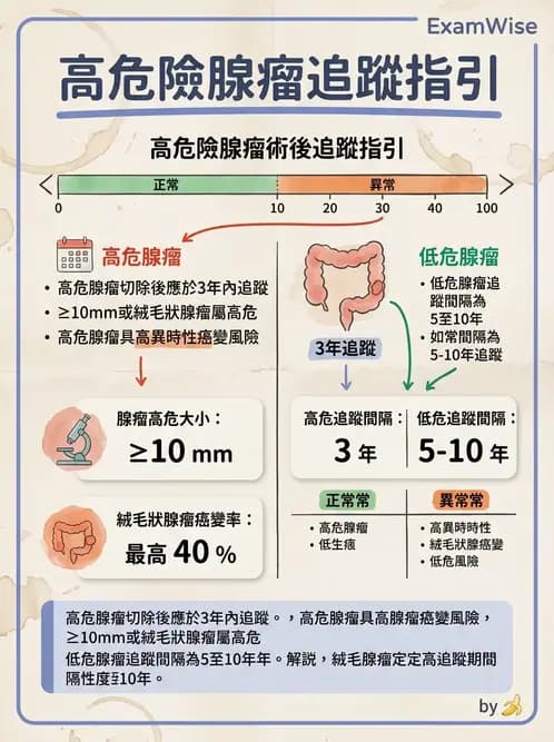 內專 - 大腸直腸癌與息肉 - AI 圖文解析預覽
