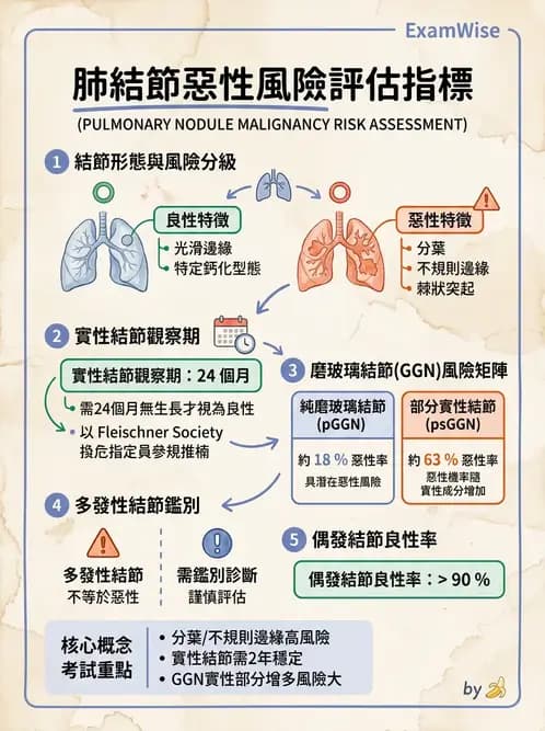 內專 - 肺癌 - AI 圖文解析預覽