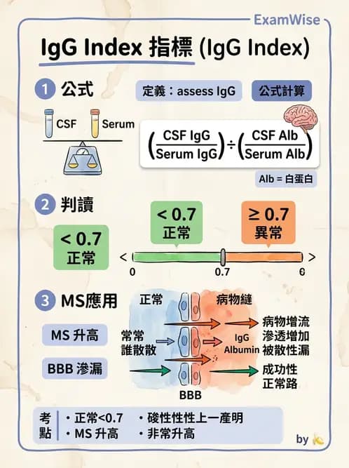 內專 - 腦炎、腦病變與癲癇 - AI 圖文解析預覽