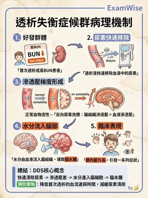 內專 - 透析與腎臟替代療法 - AI 圖文解析預覽