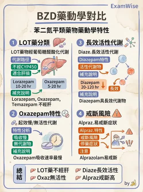 內專 - 焦慮症與其他精神疾患 - AI 圖文解析預覽