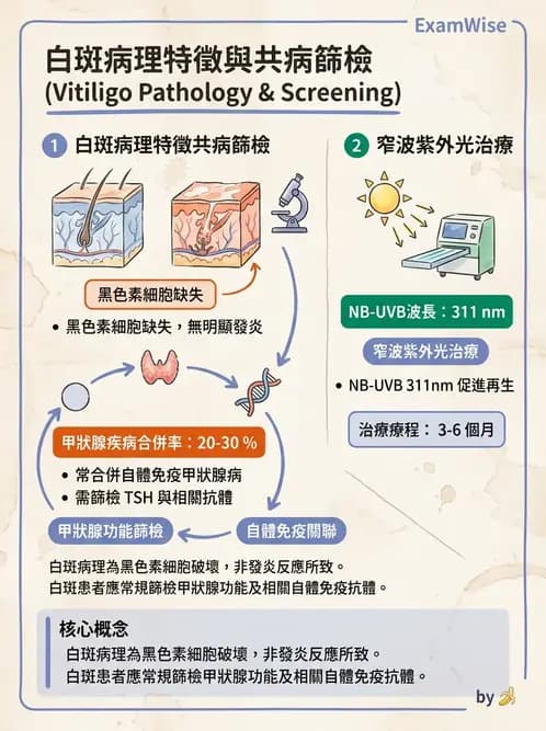 內專 - 免疫皮膚病與藥物反應 - AI 圖文解析預覽