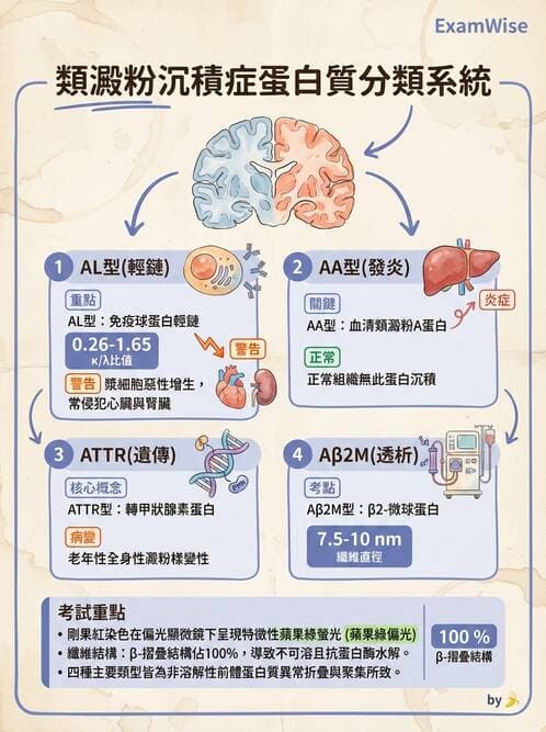 護理師 - 腫瘤及遺傳疾病 - AI 圖文解析預覽