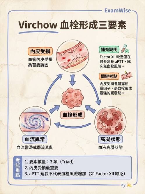 護理師 - 體液平衡 - AI 圖文解析預覽