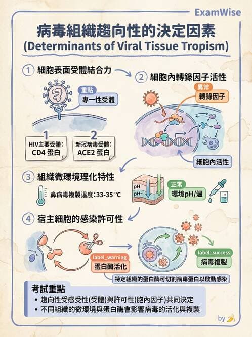 護理師 - 感染及環境疾病 - AI 圖文解析預覽
