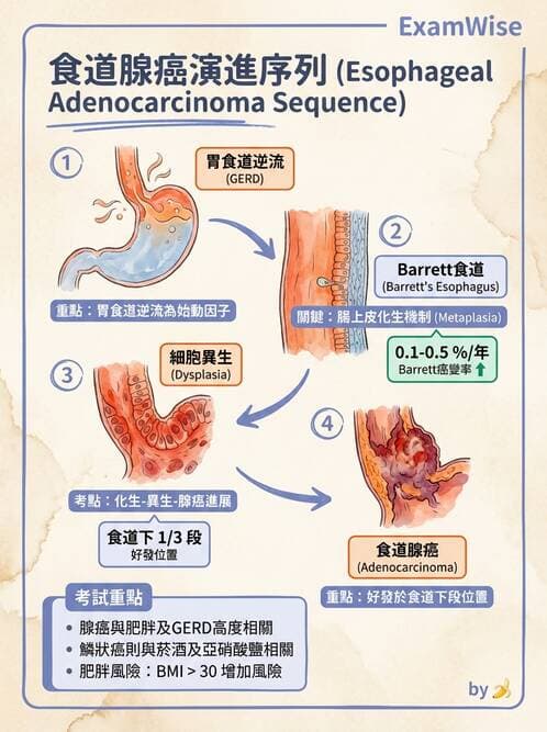 護理師 - 感染及環境疾病 - AI 圖文解析預覽