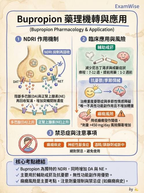 護理師 - 精神科藥物 - AI 圖文解析預覽