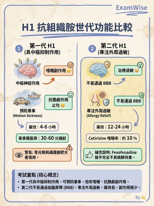 護理師 - 自主神經系統作用藥物 - AI 圖文解析預覽