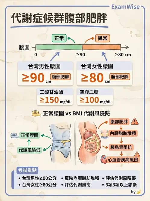 營養 - 能量平衡與食慾控制 - AI 圖文解析預覽