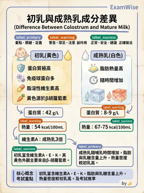 營養 - 孕期與哺乳期營養 - AI 圖文解析預覽