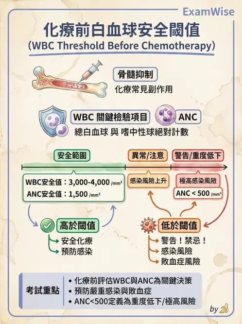 營養 - 癌症營養 - AI 圖文解析預覽