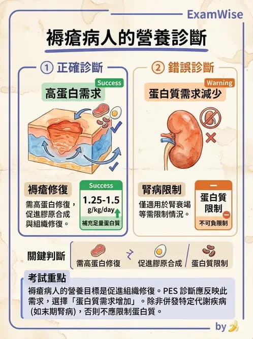 營養 - 營養評估與照護程序 - AI 圖文解析預覽